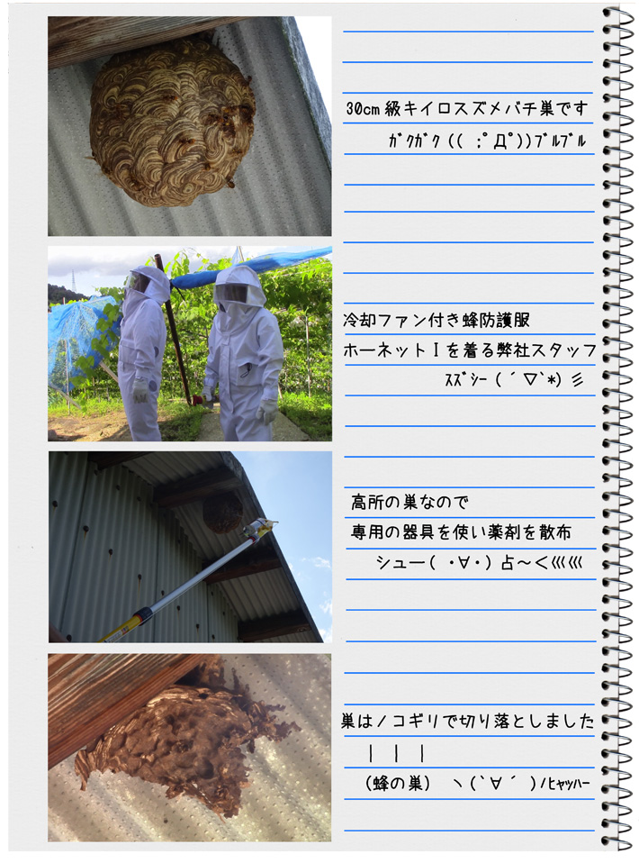冷却ファン付で夏も涼しく蜂の巣駆除 新発売！蜂防護服
