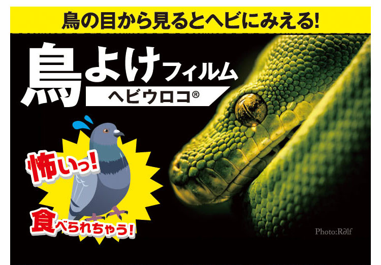 ヘビウロコ01