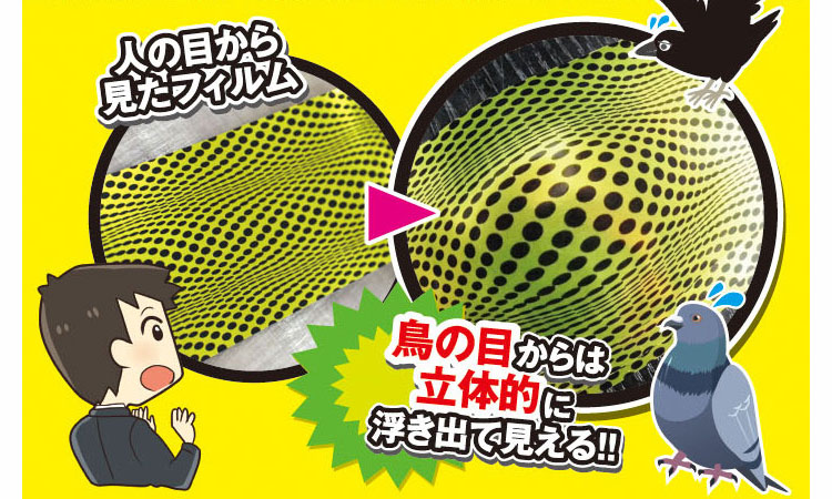 ヘビウロコ03