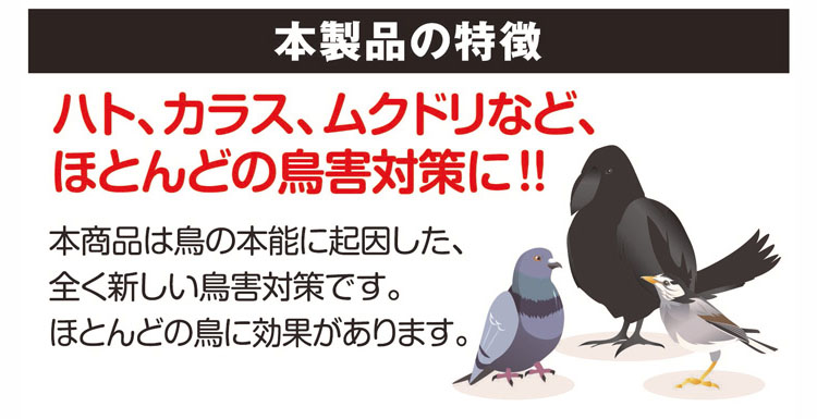 ヘビウロコ05