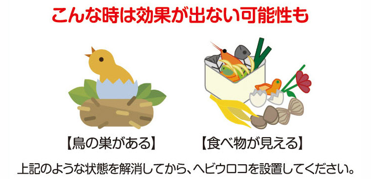 ヘビウロコ08